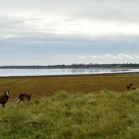 בית נופש Three-bedroom With A Fireplace In Romo
