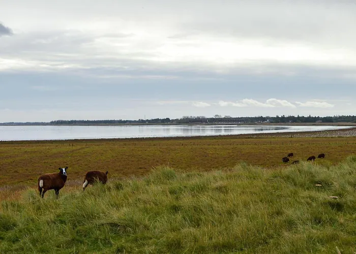 בית נופש Three-bedroom With A Fireplace In Romo